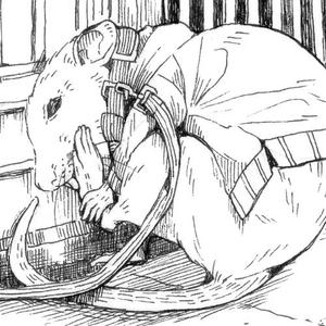 子分(Kobun)
