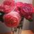 likeatommygirl