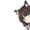 ayame0923