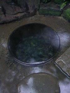 たんぽぽ