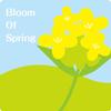 bloom-of-spring