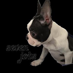 sevenjobs