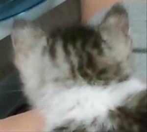 南部