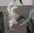 yusabi_17
