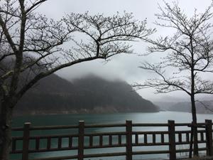甘茜