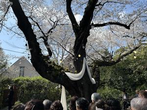 みどり