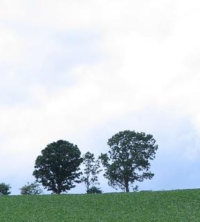 遠藤中小企業診断士事務所