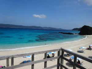 shin-asa