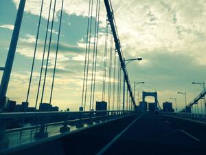 ponist_39