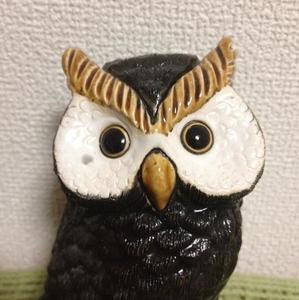 ももよろ