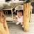 chiisong0310