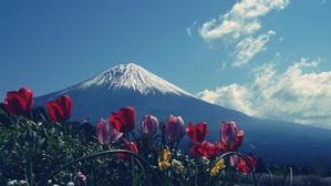 丸山優太郎