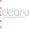 idearu_design