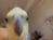 hachi8hachi