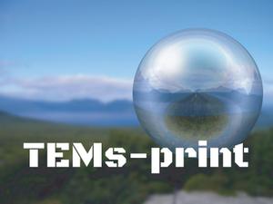 TEMs-print 