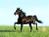 kamome8