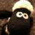 ewelamb