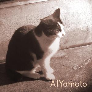 AIYamoto