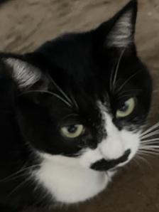CoffKuroneko
