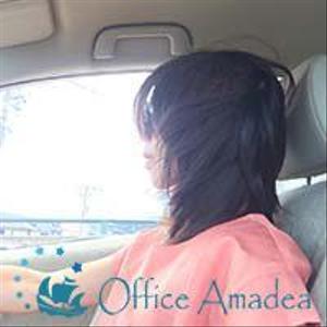 Office Amadea
