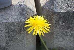 hello_world1