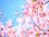 pink0315