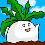 すずしろ