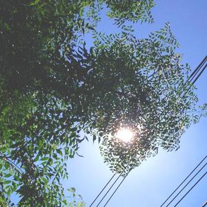 あきのそら