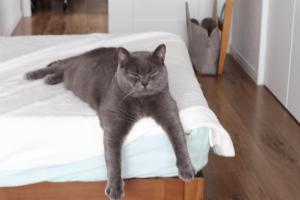 michiko