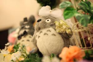 タナカ　エリナ