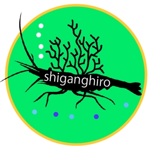 shiganghiro