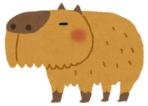 カピさん