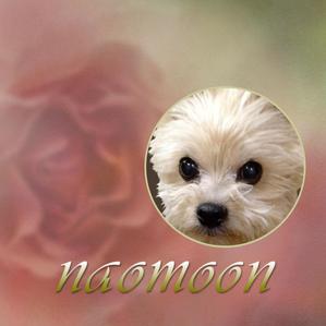 naomoon