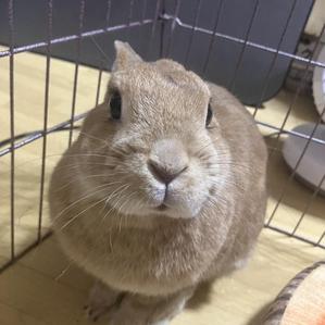 片山純子