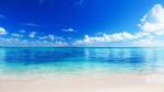 海坊主