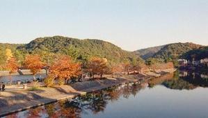 南島