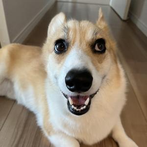 そらまめ