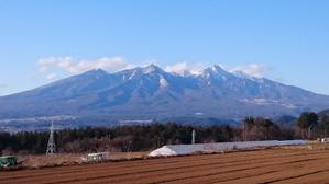 中宮梨華
