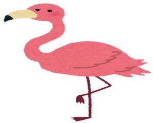 flaflamingo