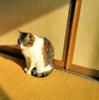 a_yuki_a22