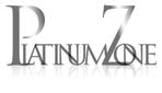 PLATINUM_ZONE_LTD