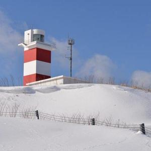 写真家
