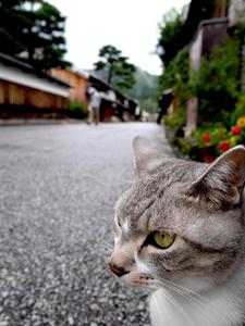 サンサン