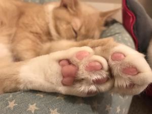 ゼロ