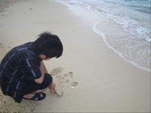shinya-n