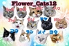 Flower_cat12