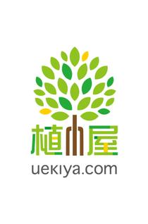 uekiya042