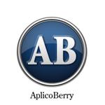AplicoBerry