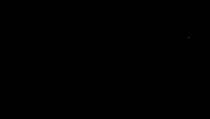 河野