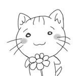 かにゃん　まみ